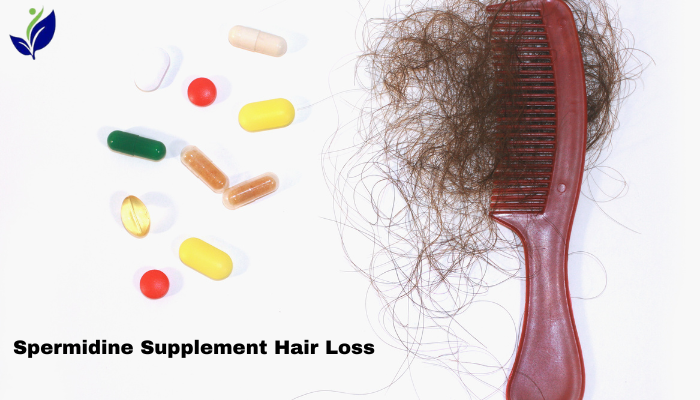 Spermidine Supplement Hair Loss