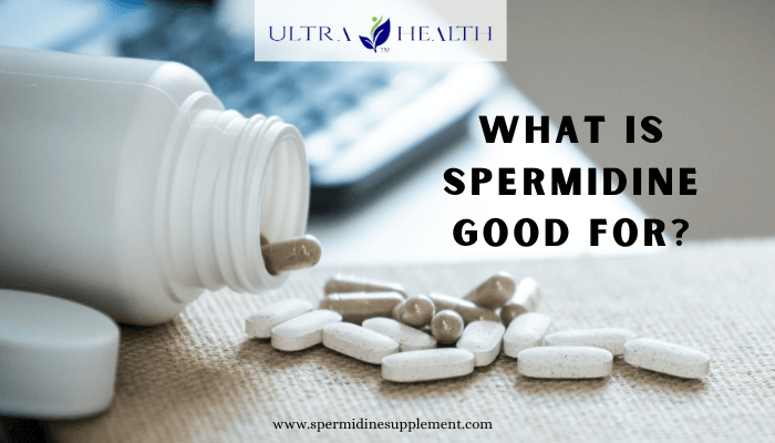 What Is Spermidine Good For