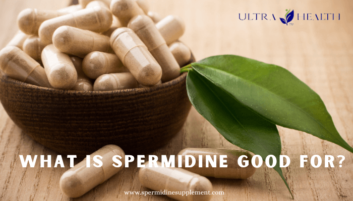 What Is Spermidine Good For